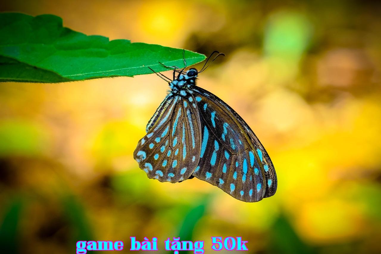 Về Doanh Thu Của ByteDance Vượt Mặt Tencent - 789bet dang nhap