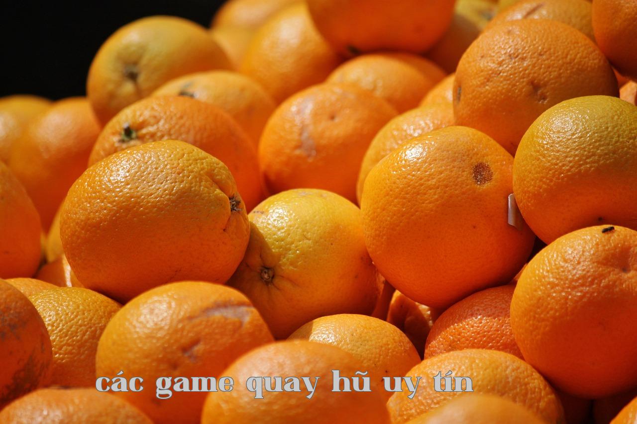 Thiết Kế Twitter Phiên Bản Đơn Giản (LeetCode 355) - game bài tặng 50k